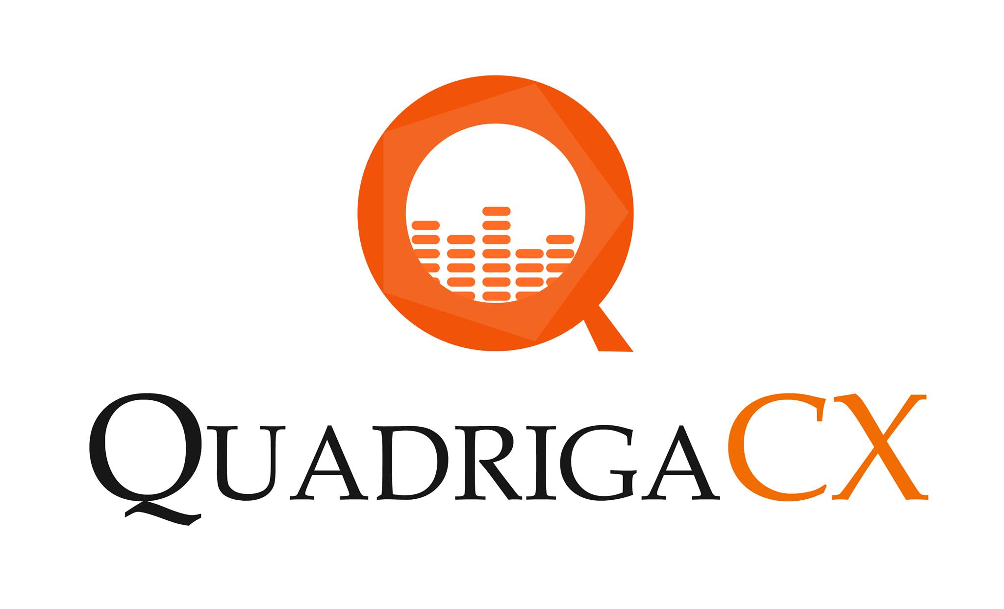 Ernst & Young:   QuadrigaCX ,     