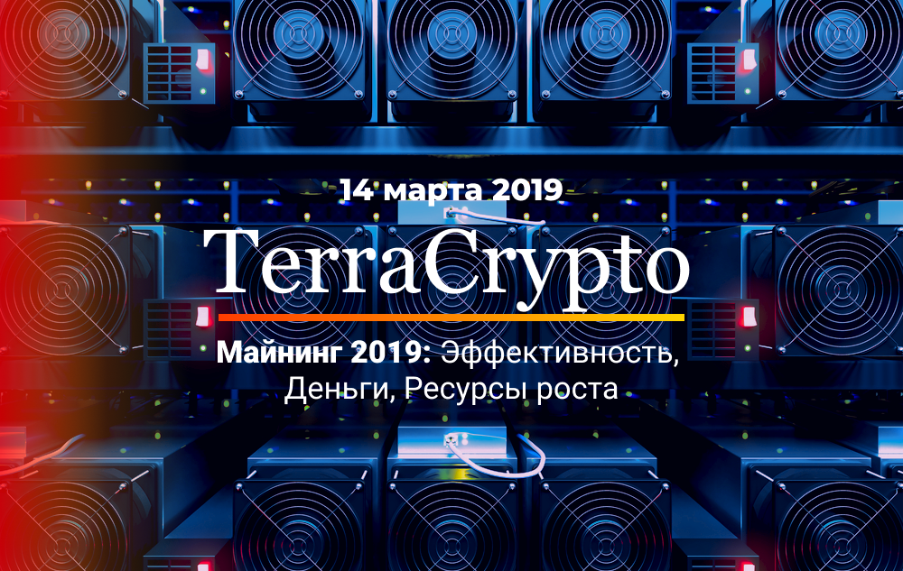 Где 2019 видео. TERRACRYPTO